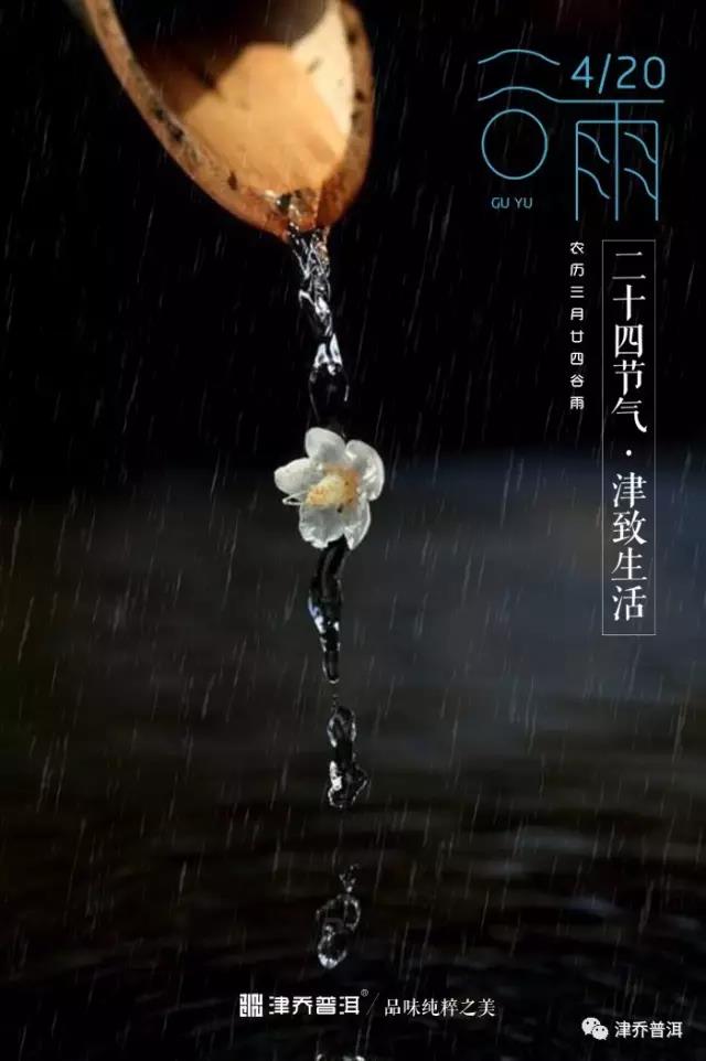 【茶文】谷雨 | 雨生百谷茶未尽，却是一年春尽头