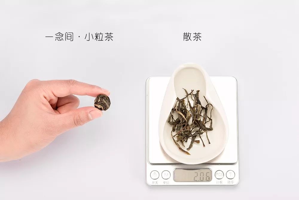 【津品解析】一念间®·小粒茶™最强测评：袋泡茶的速度，赞不绝口的专业口感