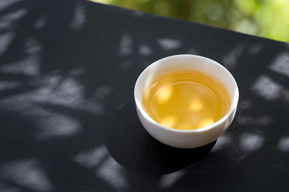 【津品茶话】万物皆有其“气”，那“茶气”究竟是什么呢？