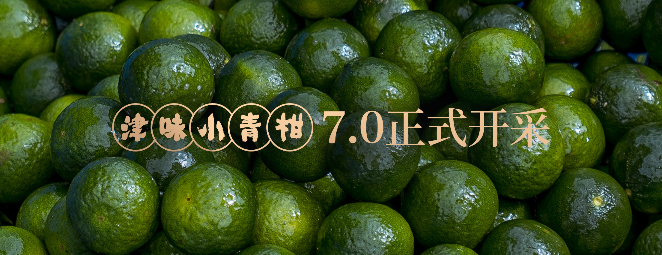 津味7年，从“心”出发，津味小青柑7.0开采制作