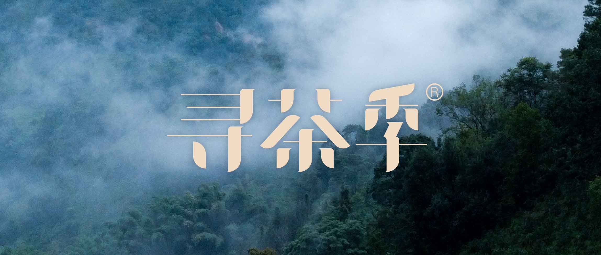 多彩茶山·匠心津乔，2023津乔寻茶季®报名开启