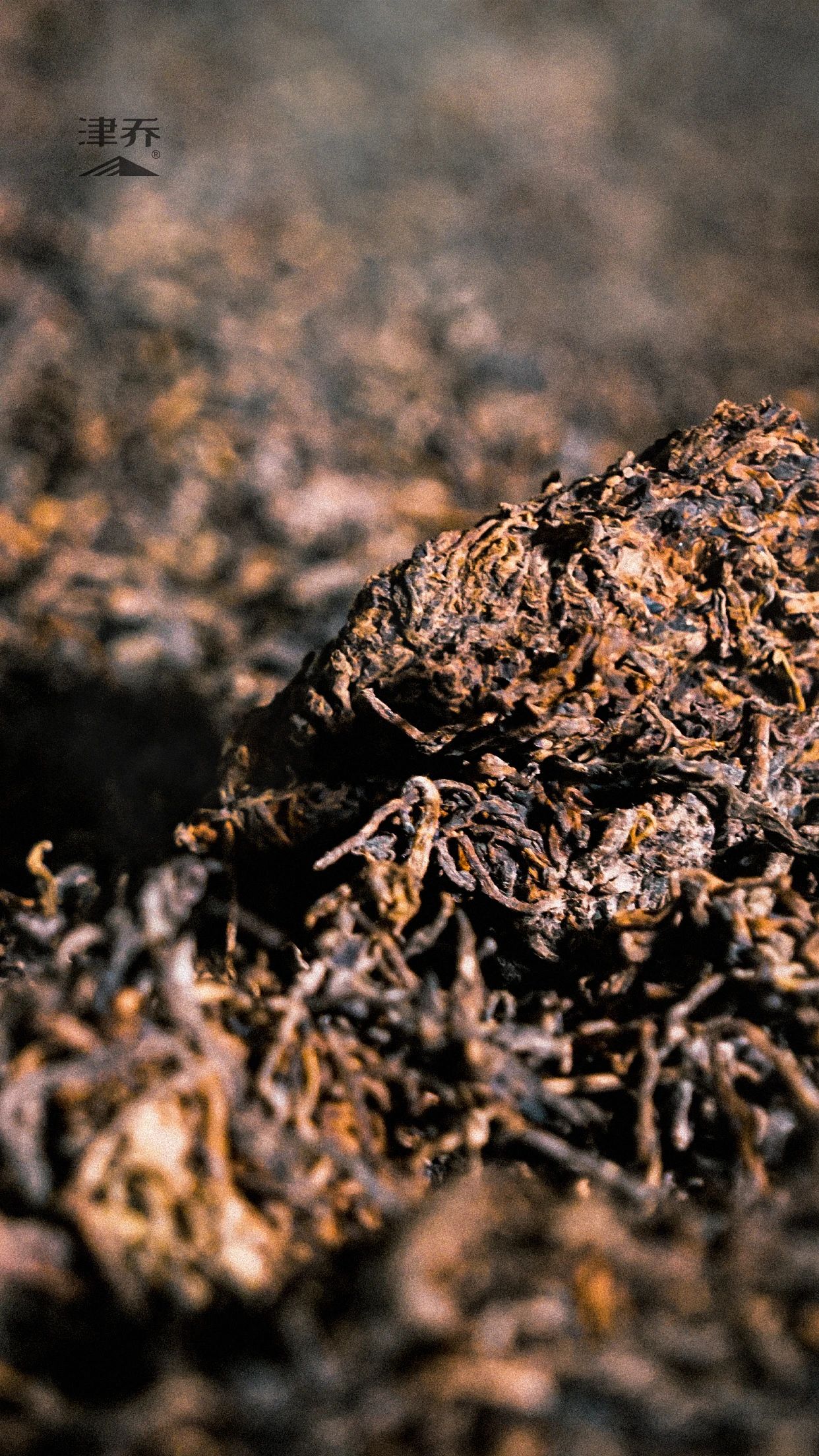 轻发酵，品质山头熟茶的核心关键点