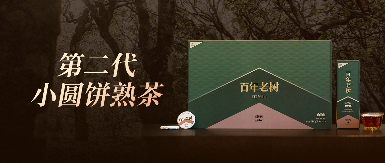 古树茶为何以“百年树龄”划界？津乔第二代“百年老树”小圆饼熟茶上新