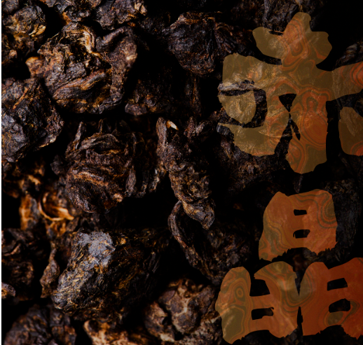 熟茶季压轴礼，津乔陈年天然茶化石“赤晶®”新版即将推出