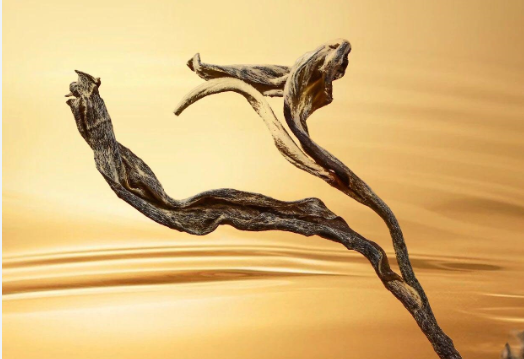 2026年仍成立：品质好茶，始终是市场的主流